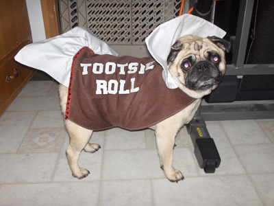 Diesel the Tootsie Roll