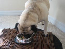 A home-prepared meal