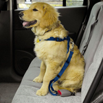 Dog Car Safety Harness