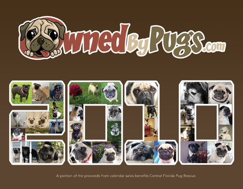 2010 Owned by Pugs Calendar