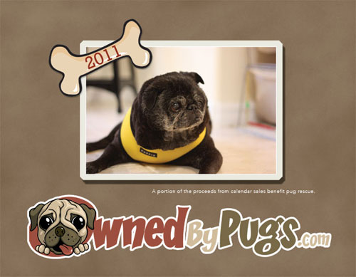 2011 Owned by Pugs Calendar