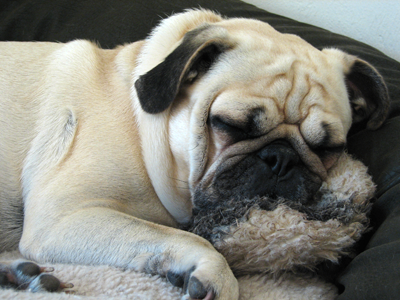 Benjamin with his Puffy