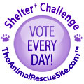 The Animal Rescue Site 100,000 Shelter Challenge