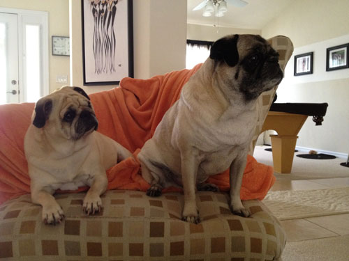 Benjamin and Henry