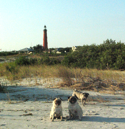 Benjamin, Henry & Luna with the lighthouse in the background