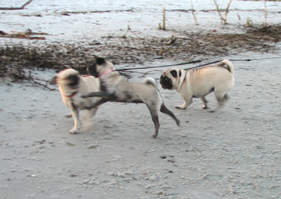 Playing at the beach