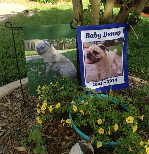 Benjamin, Luna and Henry