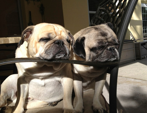 Benjamin and Henry