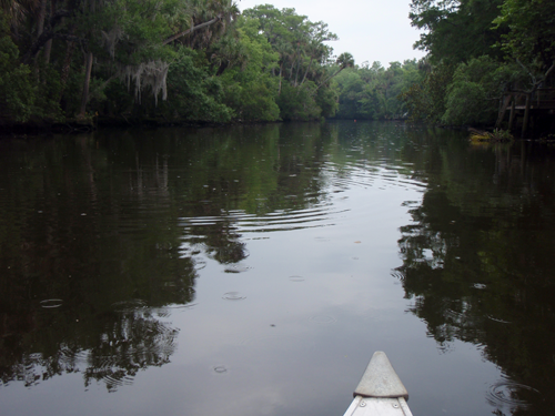 Spruce Creek