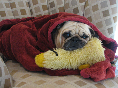 Benjamin wrapped in a blanket