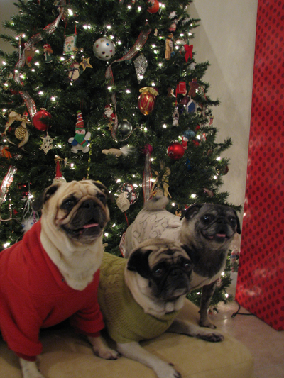 Benjamin, Henry & Luna