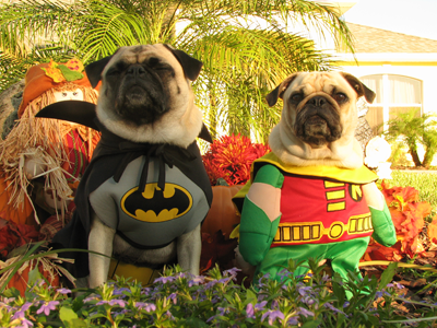Benjamin & Henry as Batman & Robin
