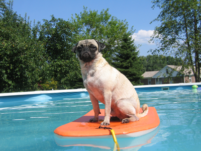 Henry on the boogie board