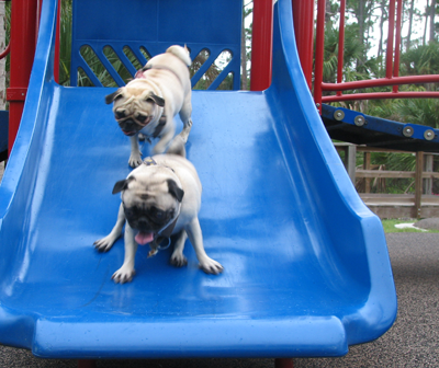 Benjamin & Henry on the slide
