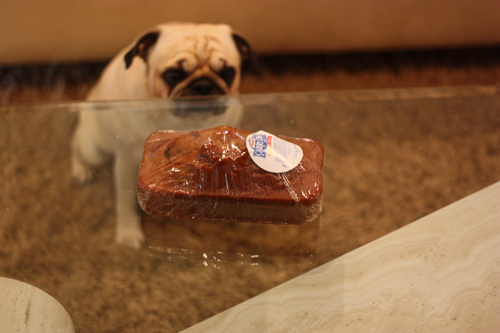 Benjamin & a loaf of pugkin bread