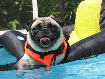 Henry on the raft