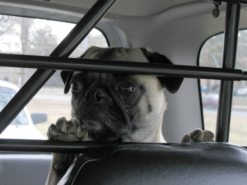 Henry behind bars