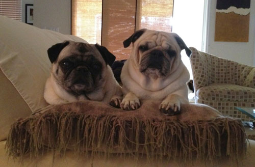 Benjamin and Henry