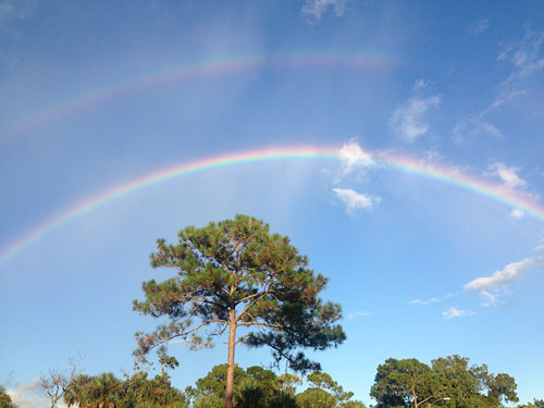 Double Rainbow