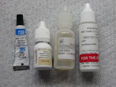 Luna's eye medications