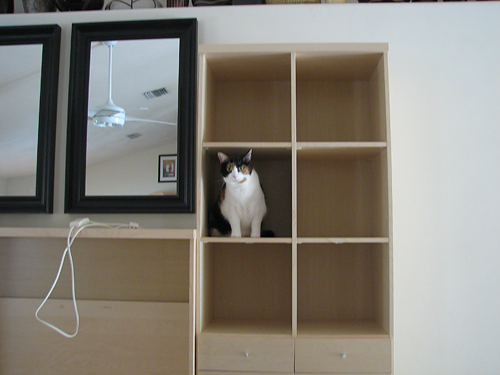 Cupid on the bookcase