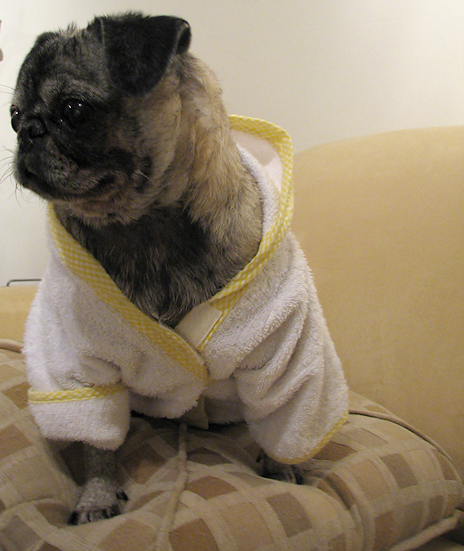 Luna in her bathrobe