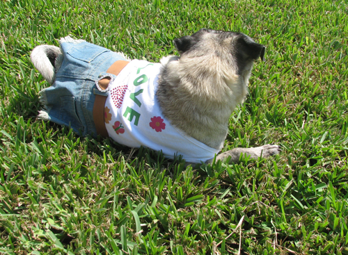 Luna  in her Love Denim dress