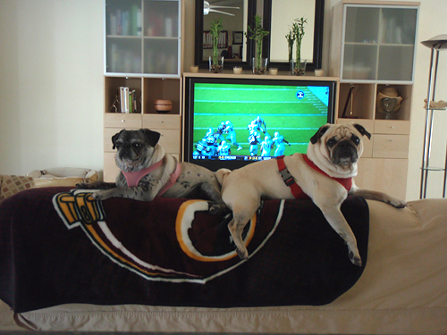 Luna & Benjamin on the Redskins blanket