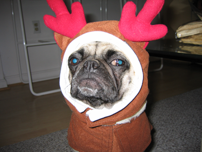 Henry the Reindeer