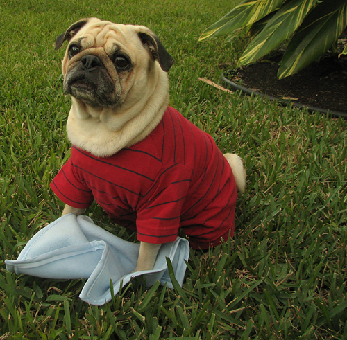 Henry as Charlie Brown