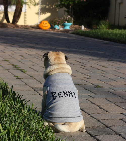 Benny