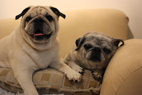 Benjamin and Luna