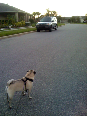 Is that my car?