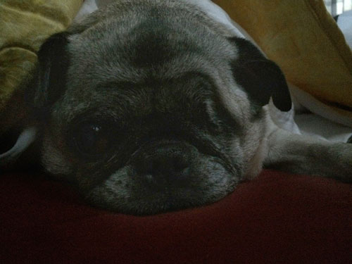 Henry
