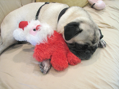 Henry with Santa