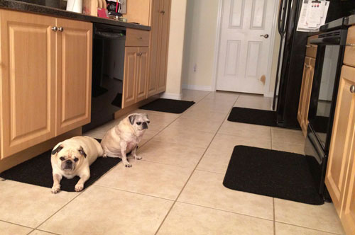 Benjamin and Luna