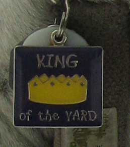 Closeup view of the tag