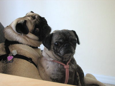 Lean on me
