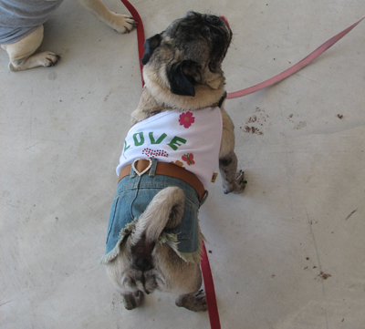 Luna in her Denim Love Dress