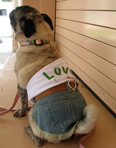 Luna in her Denim Love Dress