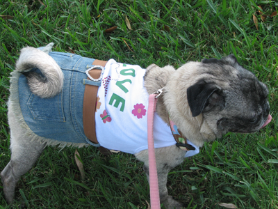 Luna in her Denim Love Dress