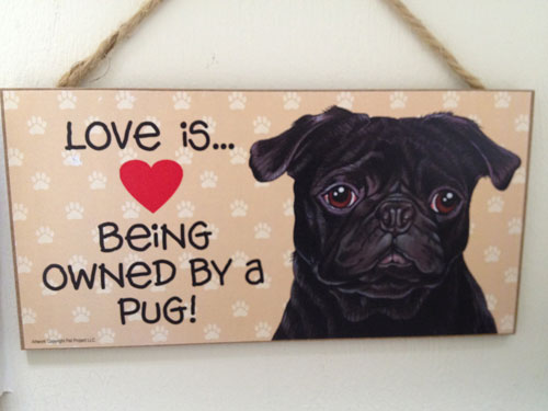 Love is Being Owned by a Pug