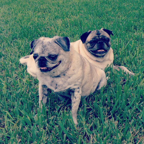 Luna and Henry