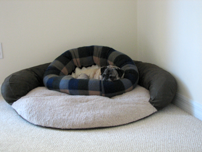 Princess Puppy Beds on The Pug Blog Tags  Dog Bed   Owned By Pugs Com