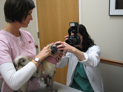 Luna with Dr. Denis