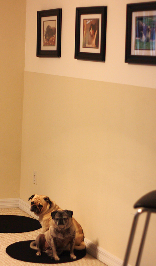 Benjamin & Luna