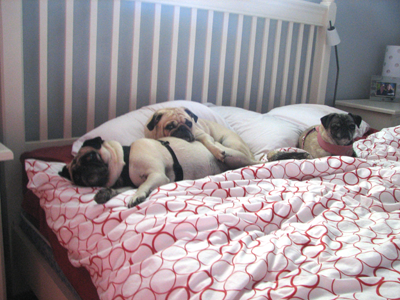 The Gang in the Morning