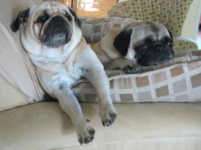 Benjamin & Henry