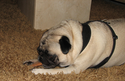 Henry eating his pizza crust