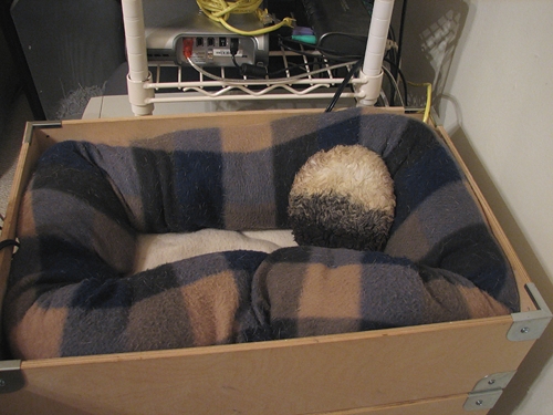 Puffy in the bin